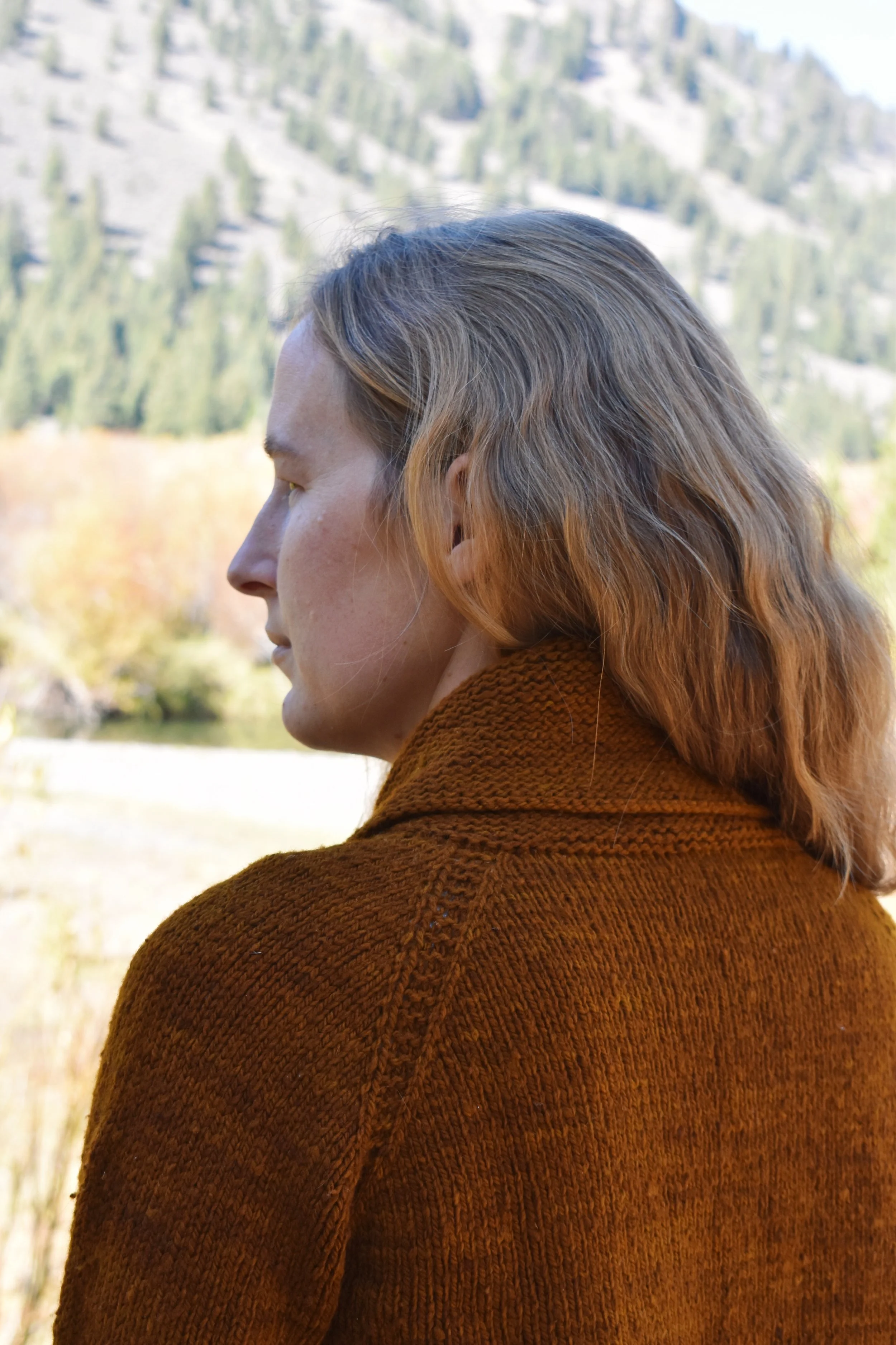 Wildhorse — Jessica McDonald Designs